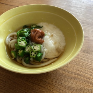 冷やしうどん☆梅オクラトロロのせ